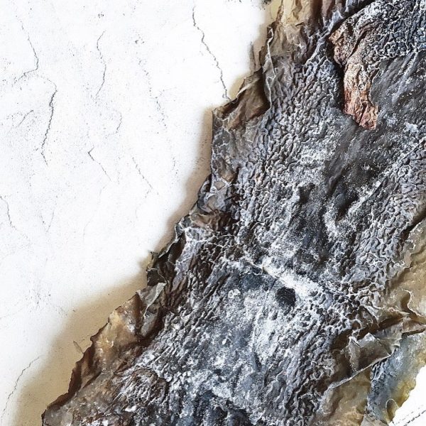 Ламинария сахаристая / Saccharina latissima (крупка), 100 гр. — изображение 2