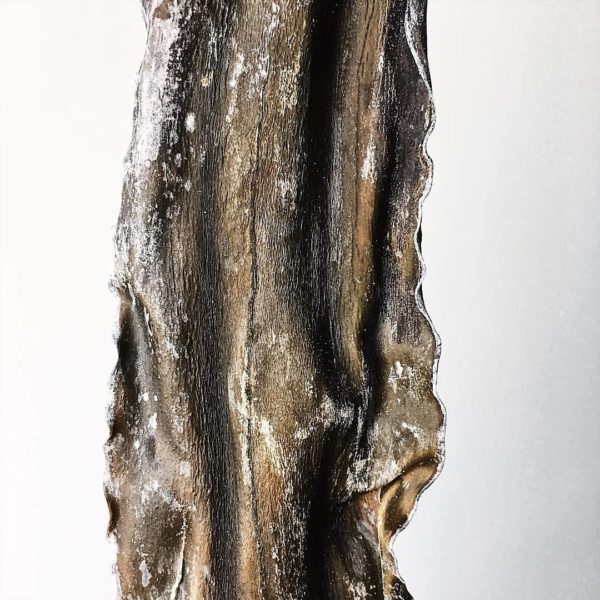 Ламинария японская / Laminaria japonica (шинкованная), 100 гр. — изображение 4