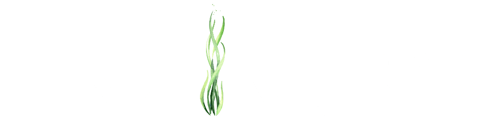 ENZIM.BY